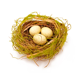 Easter bird's nest with moss and eggs