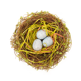 Twig nest with eggs decor