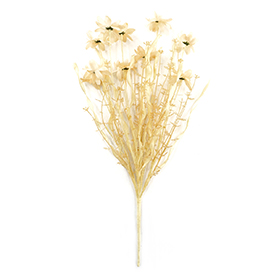 Wild flowers bush