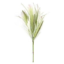 Pampas and floral bush