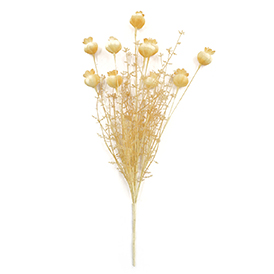 Poppy flowers bush