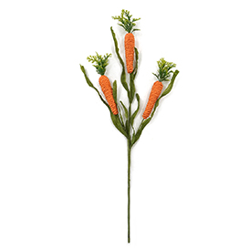 Faux carrot stem