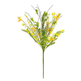 Spring wild flower and berry pick
