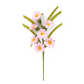 Pink daisy leaves pick