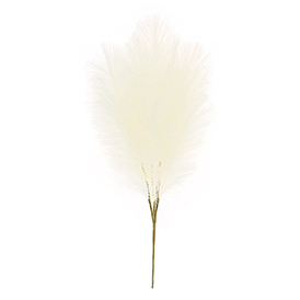 White pampas