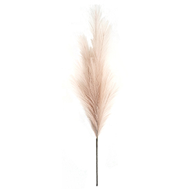 Deep pink pampas stem