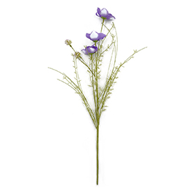 Purple wild flower stem