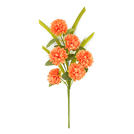 Carnation leaves pick