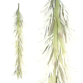 Spring green pampas garland