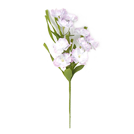 Azalea leaves pick