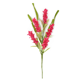 Hot pink wild blossom leaves pick