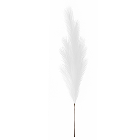 White pampas stem