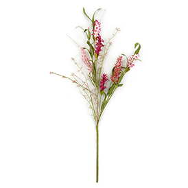Spring wild blossom stem