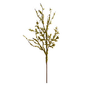Sprout twisty spray