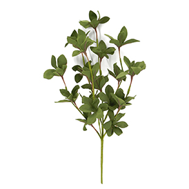 Green EVA leaves pick