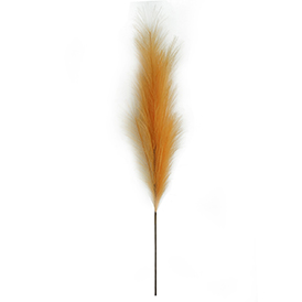 Orange pampas stem