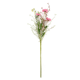 Spring wild flowers stem