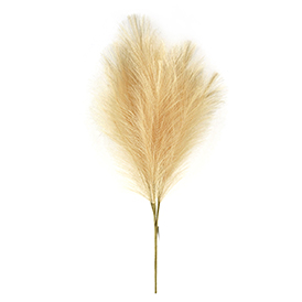 Brown pampas