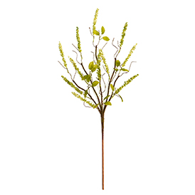 Spring heather stem