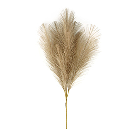 Dark brown pampas