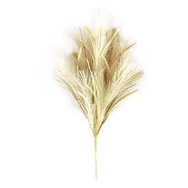 Dark brown and cream pampas