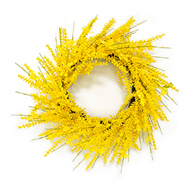 Spring winter-jasmine and berry wreath