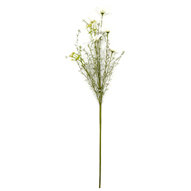 Spring white wild flowers stem