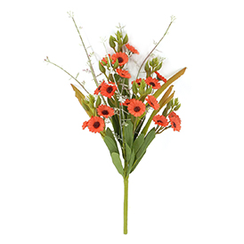 Daisy leaves pick