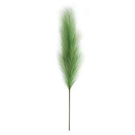 Green pampas stem