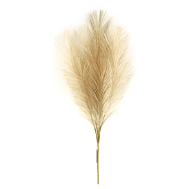 Brown gradient pampas