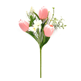 Spring tulip pick
