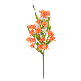 Wild blossom leaves pick