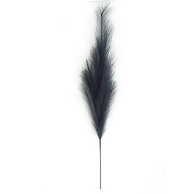 Darkgray pampas stem