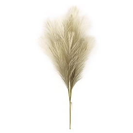Light brown gradient pampas
