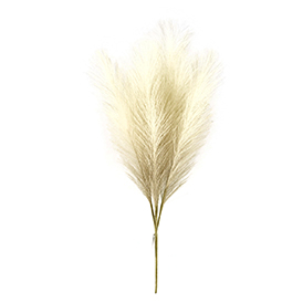 Milky gradient pampas