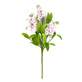 Spring daffodil pick pink