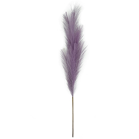 Purple pampas stem
