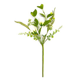 Tulip pick white