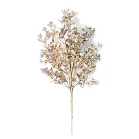 Golden leaf bush