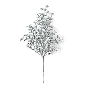 Silver christmas leaf bush