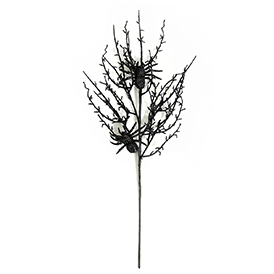 Black spider spray