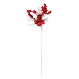 Red white flower