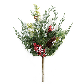 Pinecone red berries bush