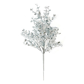 Silver leaf bush