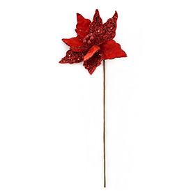 Red christmas flower