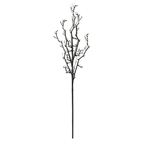 Dry branch spray