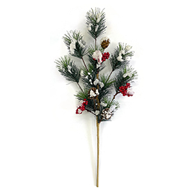 Snow pine needle stem