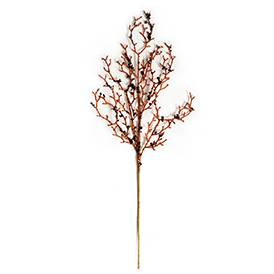 Orange dead branches spray