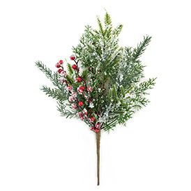 Red christmas pine needle bush