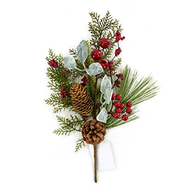 Berries pine cones pine needles pick
